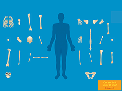 Learn the Skeletal System - A Fun & Interactive Game